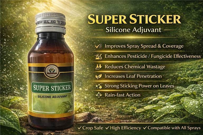 SUPER STICKER